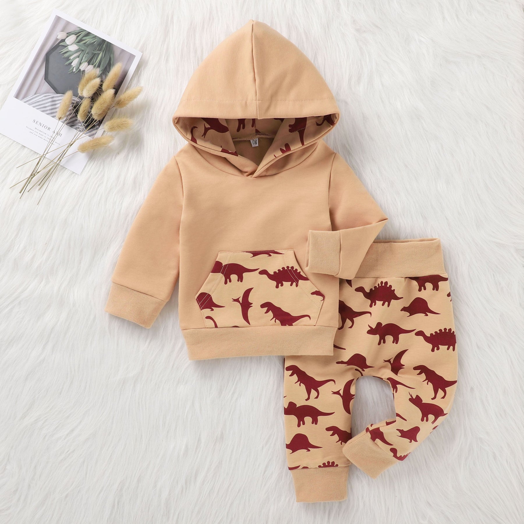 Conjunto Moletom Baby Dino